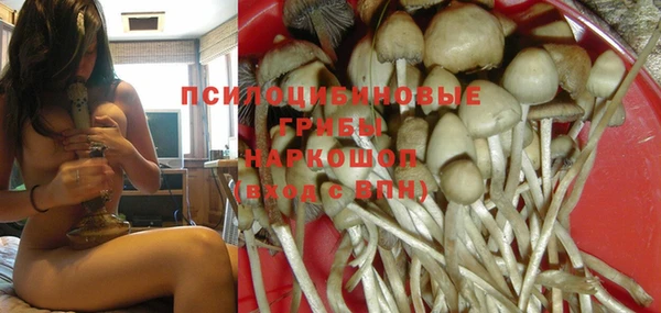 каннабис Алексеевка